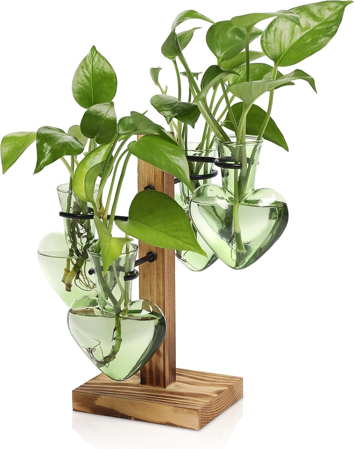Plant Terrarium Propagation Stations with Wooden Stand, Glass Vase for Indoor Hydroponics Home Garden Office Decoration Gift for Women – 4 Love Bulb Vase