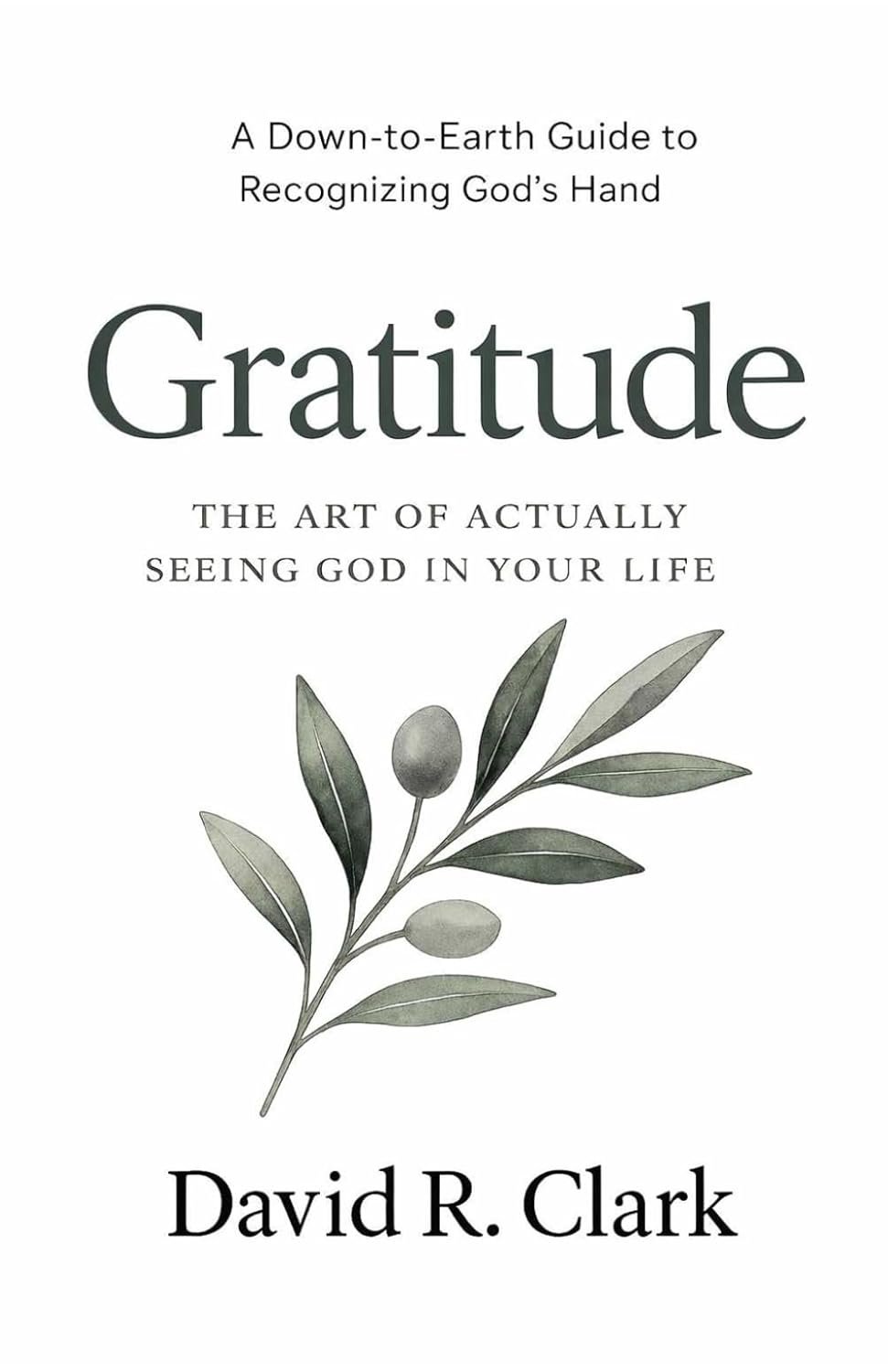 Gratitude: The Art of Actually Seeing God in Your Life (Connecting With Christ)