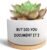 Office Desk Shelf Decor, Succulent Plant Pot, Ceramic Flower Cactus Planter Office Accessories Gifts for Coworker Employee Colleague Women Men Friend, But Did You Document It (Plants Not Included)