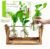 Renmxj Plant Propagation Stations with Wooden Stand & 3 Glass Bulb Vases – Plant Terrarium for Indoor Plants, Home Office Desk Decor, Gardening Gifts for Women Mom, Birthday Gifts for Plants Lovers