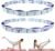 Elastic Yoga Stretching Strap with Loops, CEILIWEN Stretch Straps for Physical Therapy, Pilates Stretch Band, Elastic Exercise Bands, Leg Stretching Strap, Stretch Resistance Bands for Exercise