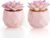 ZENIDA Artificial Succulent Plants in 2 Pink Ceramic Pots, Cute Fake Plants for Vanity Decor,Office, Desk, Bathroom, Kitchen,Bedroom, Shelves Decor for Women,Girls Gift