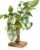 Plant Terrarium Propagation Stations with Wooden Stand, Glass Vase for Indoor Hydroponics Home Garden Office Decoration Gift for Women – 4 Love Bulb Vase