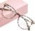 Gaoye Blue Light Blocking Glasses, Retro Round Eyewear Frame Anti Eyestrain Computer Glasses for Women Men (*Leopard)