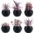 GREENTIME 6 Pcs Purple Artificial Succulents Valentine’s Day in Black Plastic Pots Couple Gift Small Fake Succulent Plant Room Decor for Women Office Bedroom Bathroom Table Shelf Teacher Appreciation