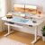 COMHOMA Electric Standing Desk with Drawers, 48 x 24” Sit Stand up Desk with Monitor Stand, Laptop Stand, Height Adjustable Ergonomic Home Office Computer Desk with Memory Preset Controller
