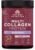 Ancient Nutrition Collagen Powder Protein, Multi Collagen Protein, Hydrolyzed Collagen Peptides Supports Skin and Nails, Joint Supplement (Brain Boost, 45 Servings)