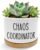 Chaos Coordinator Gifts for Women Men Plant Pots, Appreciation Gifts for Coworkers Boss Leader Mentor Succulent Planters, Ceramic Plant Flower Pots for Home Office Desk Table Shelf(No Plants)