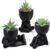 Der Rose 3pcs Fake Succulents Plants Artificial Graduation Gifts for Women Black Bathroom Bedroom Home Living Room Halloween Decor Aesthetic Indoor