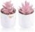 Der Rose Set of 2 Succulents Plants Artificial Mini Fake Succulents Plants Graduation Gifts Office Desk Accessories for Women Pink Home Vanity Decor