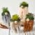 Taiyin 4 Pcs Mini Gnomes Planter for Succulent Funny Planter Gnome Gifts for Women Gnome Cactus Desk Decor for Indoor Outdoor Plants Garden Home Spring Summer Xmas Decoration