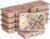 Bentgo Prep – 20-Piece 2-Compartment Reusable Meal Prep Containers with Lids, PFAS & BPA Free Materials, Durable, Microwave, Freezer, & Dishwasher Safe To Go Food Storage (Rose Gold)