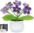 LAIDANLA Crochet Flowers Forget Me Not, Mini Gradient Purple Crochet Flower Potted Plant for Desk, Handmade Anniversary Birthday Graduation Gifts for Women Teacher Mom Friend